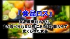 画像リンク:動画14分 シティーニュースおおた(平成27年12月前半号)