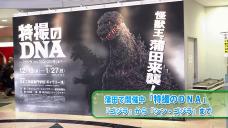 画像リンク:動画5分 シティーニュースおおた(平成31年1月前半号)