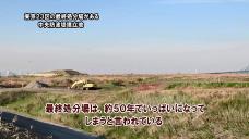 画像リンク:動画5分 シティーニュースおおた(令和元年12月後半号)