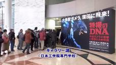 画像リンク:動画5分 シティーニュースおおた(令和2年1月前半号)