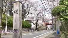 画像リンク:動画5分 シティーニュースおおた(令和2年3月後半号)