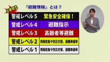 画像リンク:動画約5分 シティーニュースおおた(令和3年6月後半号)