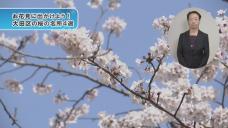 画像リンク:シティーニュースおおた(令和5年3月号)動画 3分程度 YouTubeへリンクします