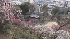 画像リンク:ユニークおおた(令和5年2月号・おでかけ大田)動画 3分程度 YouTubeへリンクします