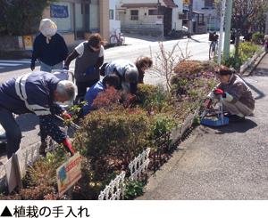 植栽の手入れ