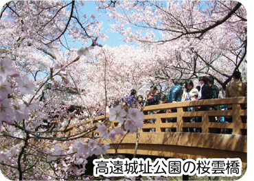 高遠城址公園の桜雲橋