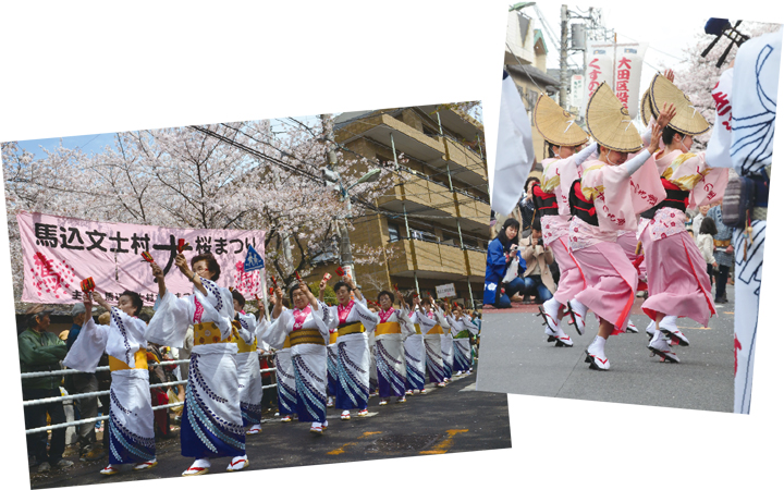 馬込文士村大桜まつり