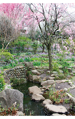 山王花清水公園