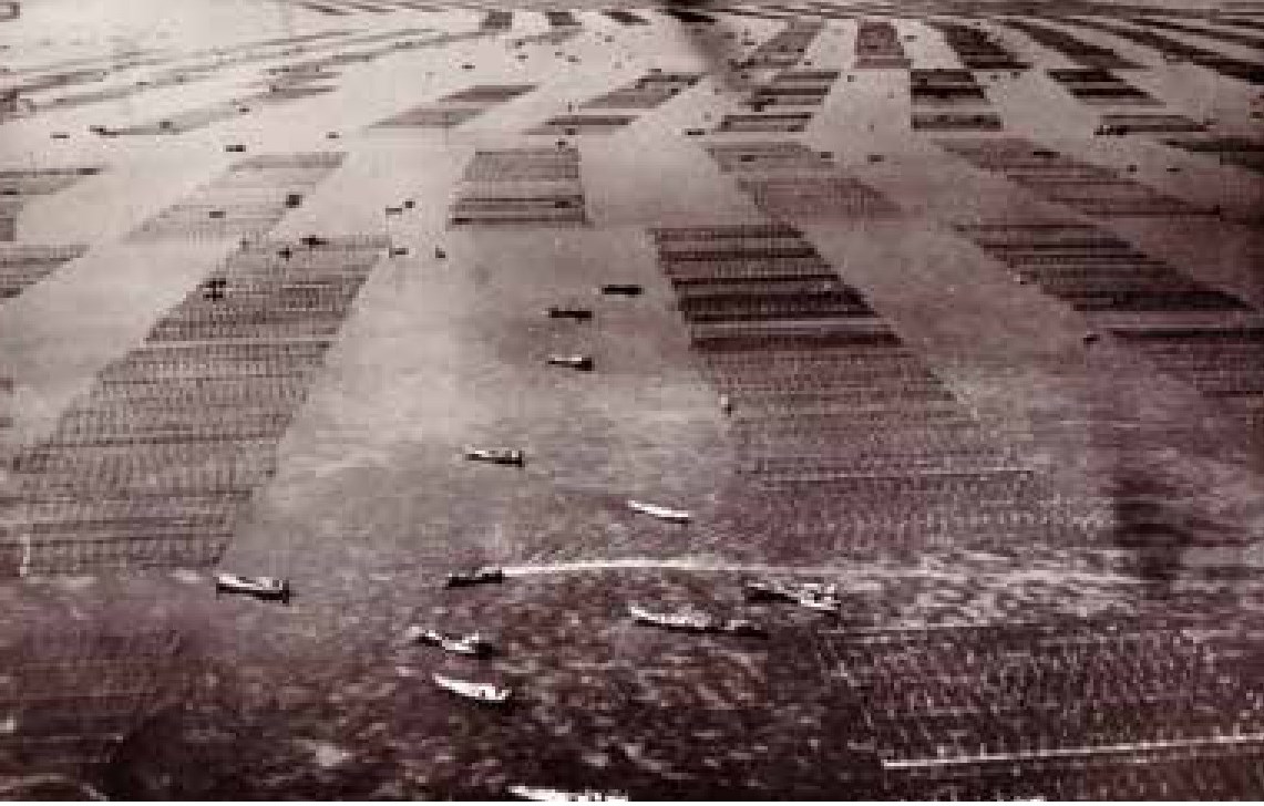 昭和30年代の海苔養殖場