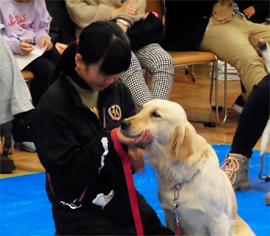 犬のしつけ方教室