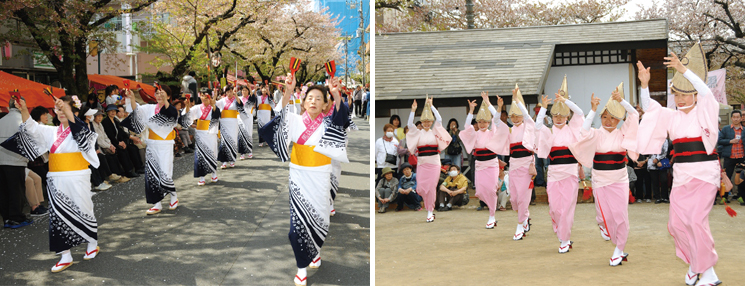 馬込文士村大桜まつり