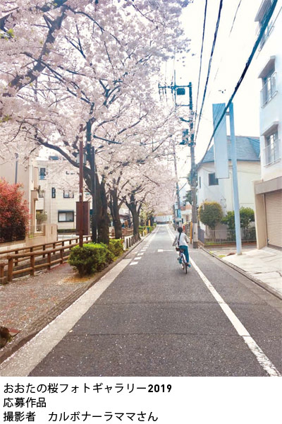 おおたの桜フォトギャラリー2019
応募作品
撮影者　カルボナーラママさん