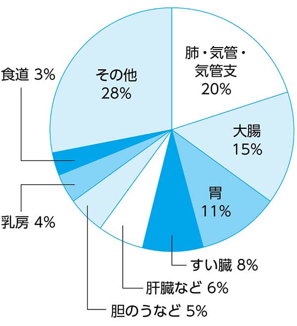 がんの部位別死亡割合（大田区）についての画像