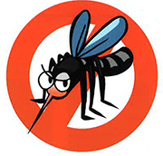 みんなで実践！蚊の発生源対策についての画像