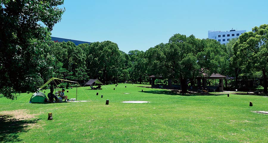 平和島公園キャンプ場についての画像2