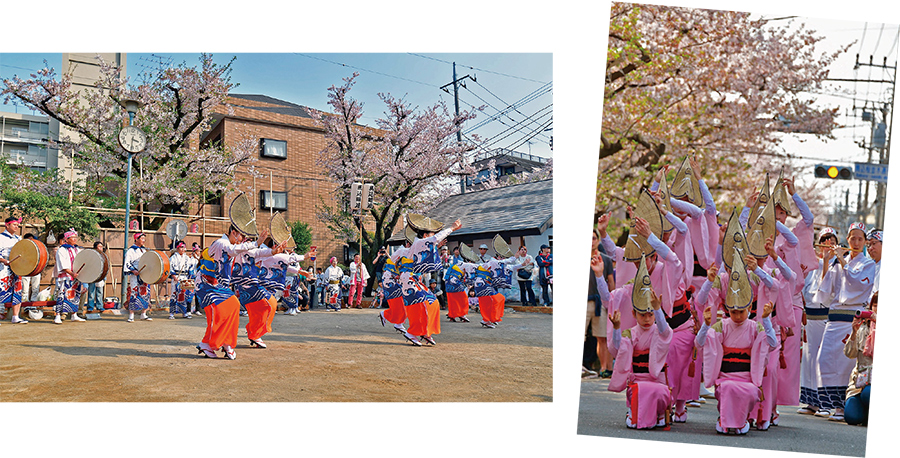 馬込文士村大桜まつりについての画像