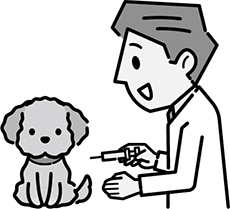 狂犬病予防定期集合注射についての画像
