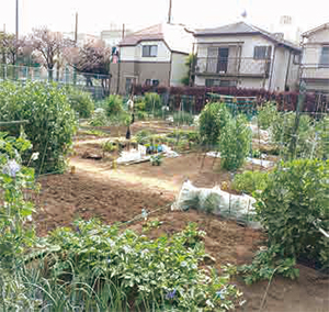 例えば⋯区民農園についての画像