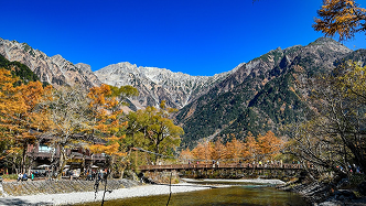 上高地と敷島公園バラ園ツアーについての画像