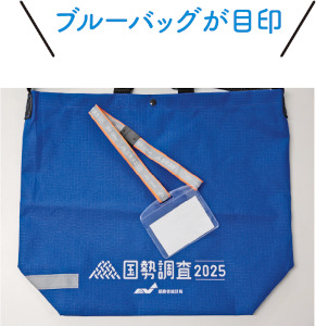 ブルーバッグの画像