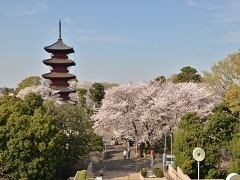 写真：池上本門寺