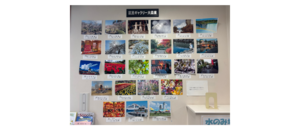 色鮮やかなの写真を飾っています。