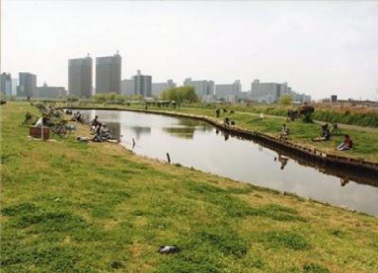 写真：多摩川ひょうたん池