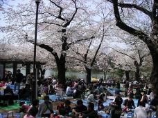 画像リンク：洗足池公園の写真(平成10年代)