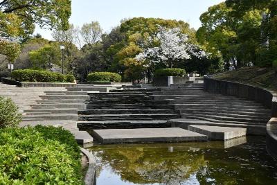 画像：平和の森公園