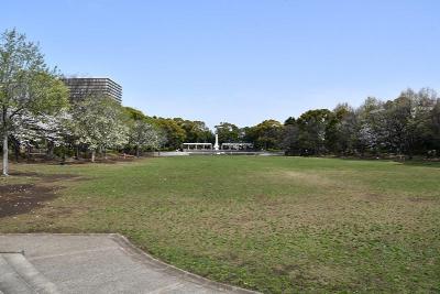 画像：平和の森公園　平和の広場