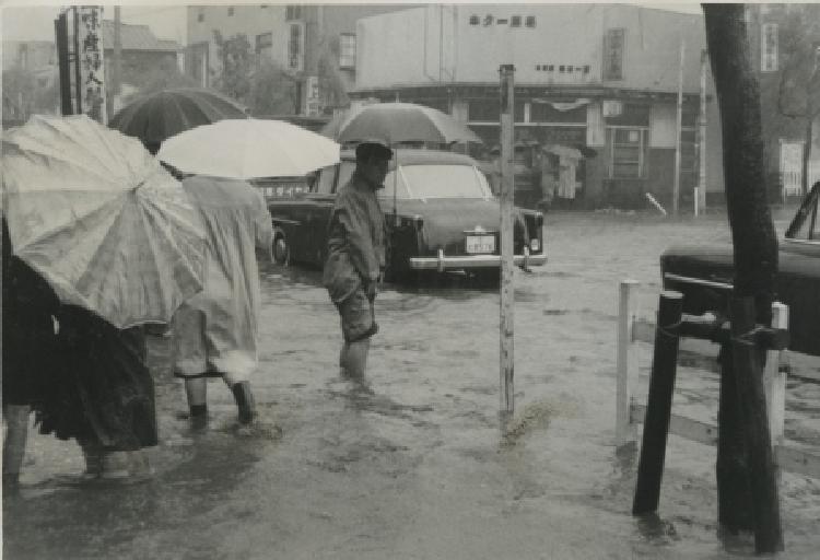 写真：台風による被害　平和島(1)