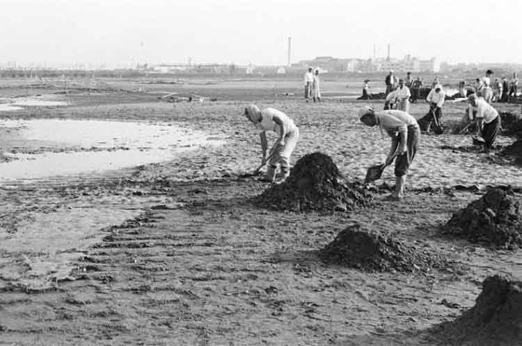 写真：六郷ゴルフ場(昭和33年)(3)