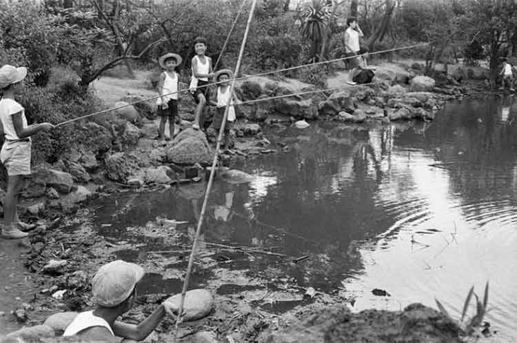 写真：聖跡蒲田梅屋敷公園(昭和36年)(1)