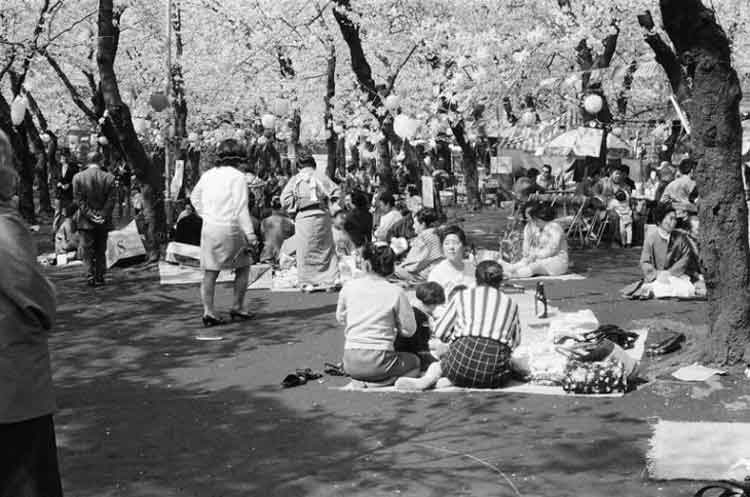 写真：洗足池公園(昭和45年)