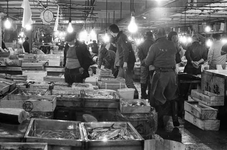 写真：大森魚市場(昭和46年)(2)