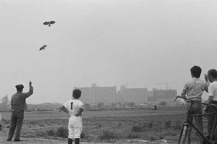 写真：六郷のとんび凧あげ(昭和48年)