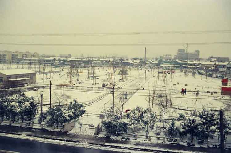 写真：雪の萩中公園(昭和42年)(1)