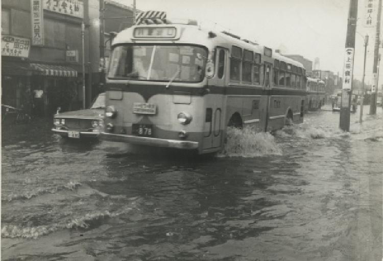 写真：台風による被害