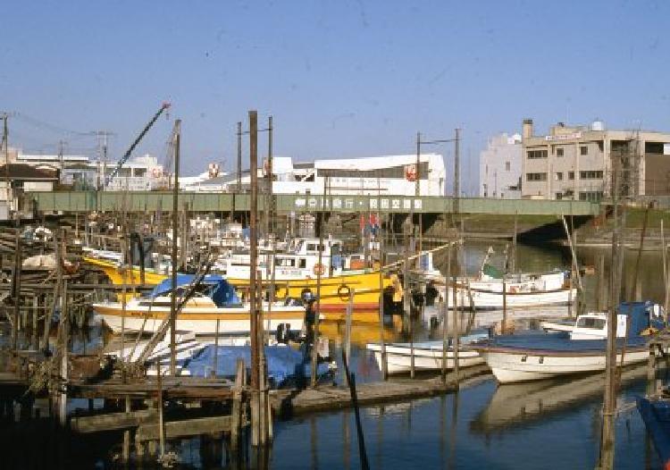 写真：羽田浦