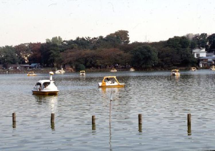 写真：洗足池公園(昭和63年)