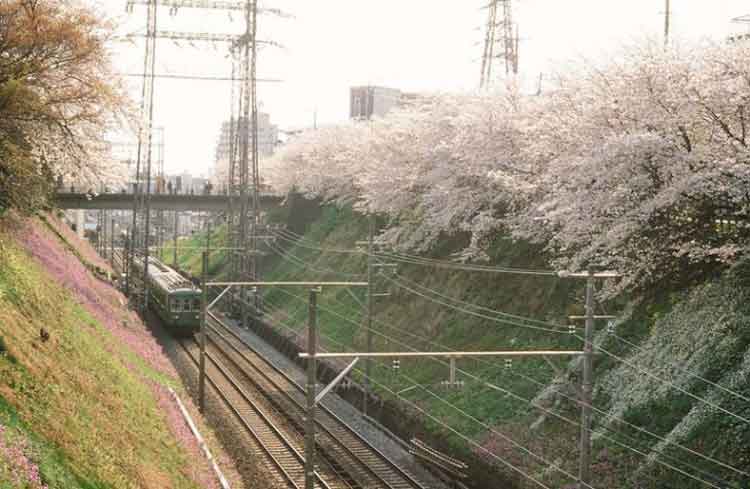 写真：東雪谷(昭和63年)(1)