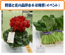 リンク：野菜と花の品評会＆収穫祭（イベント）