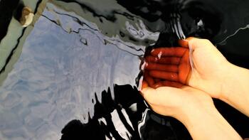 写真：黒湯（くろゆ）