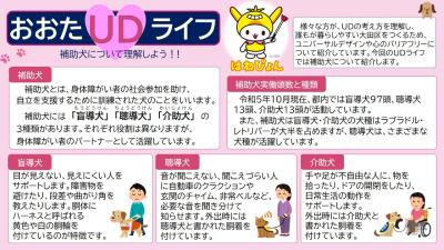 補助犬について理解しよう！！