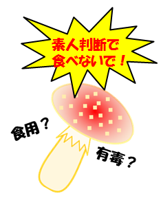 絵：毒キノコに注意