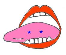 舌の横側
