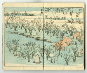 テキスト　歌川広重『絵本　江戸土産』二篇「蒲田の梅園」（嘉永3（1850）年）