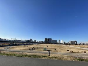 多摩川緑地（全体風景）