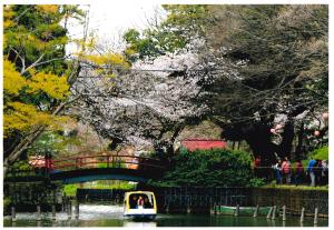 写真：瀬尾　志温さん作「橋をくぐって冒険へ」（洗足池公園）