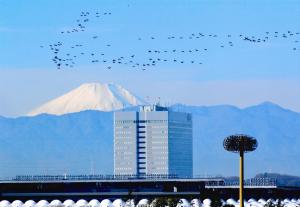 写真：柳田　隆幸さん作「雁行」（多摩川台公園）